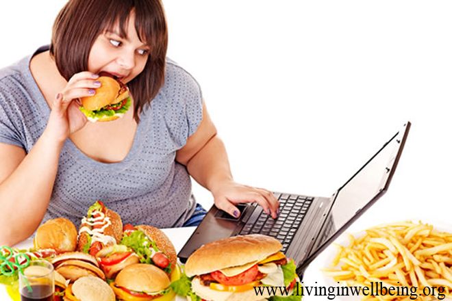 Counseling and Psychotherapy Services